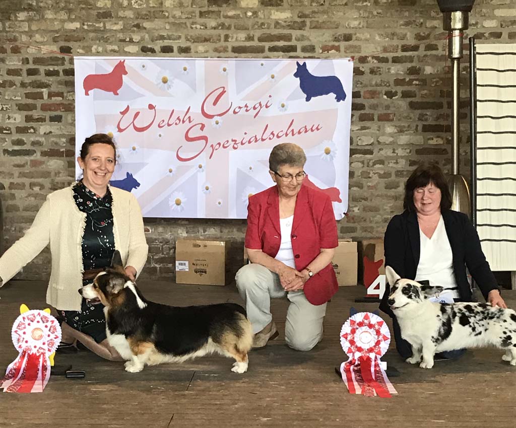 2018 06 23 Corgi Spezial 02